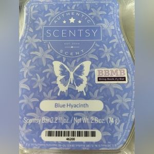 See blue hyacinth BBMB